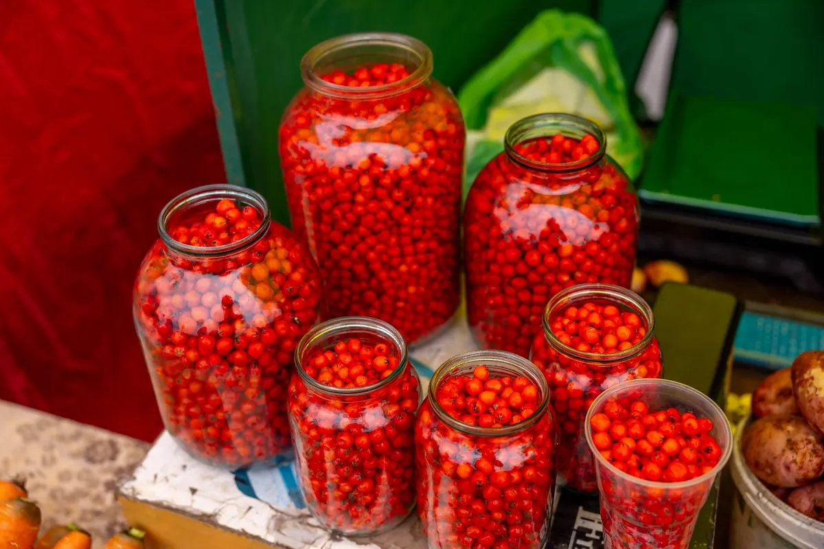 Canning Tomatoes Safely: A Step-by-Step Checklist