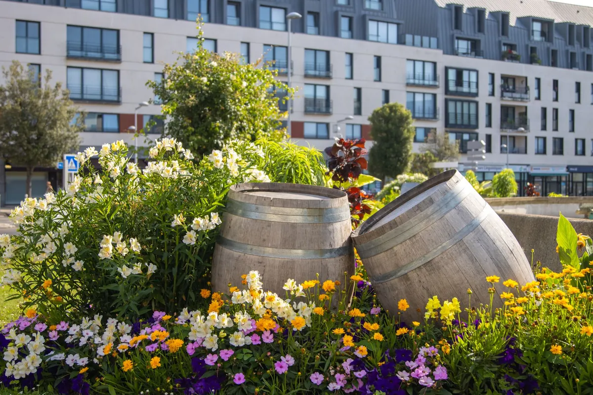Rainwater Harvesting for Gardens: A Beginner's Guide